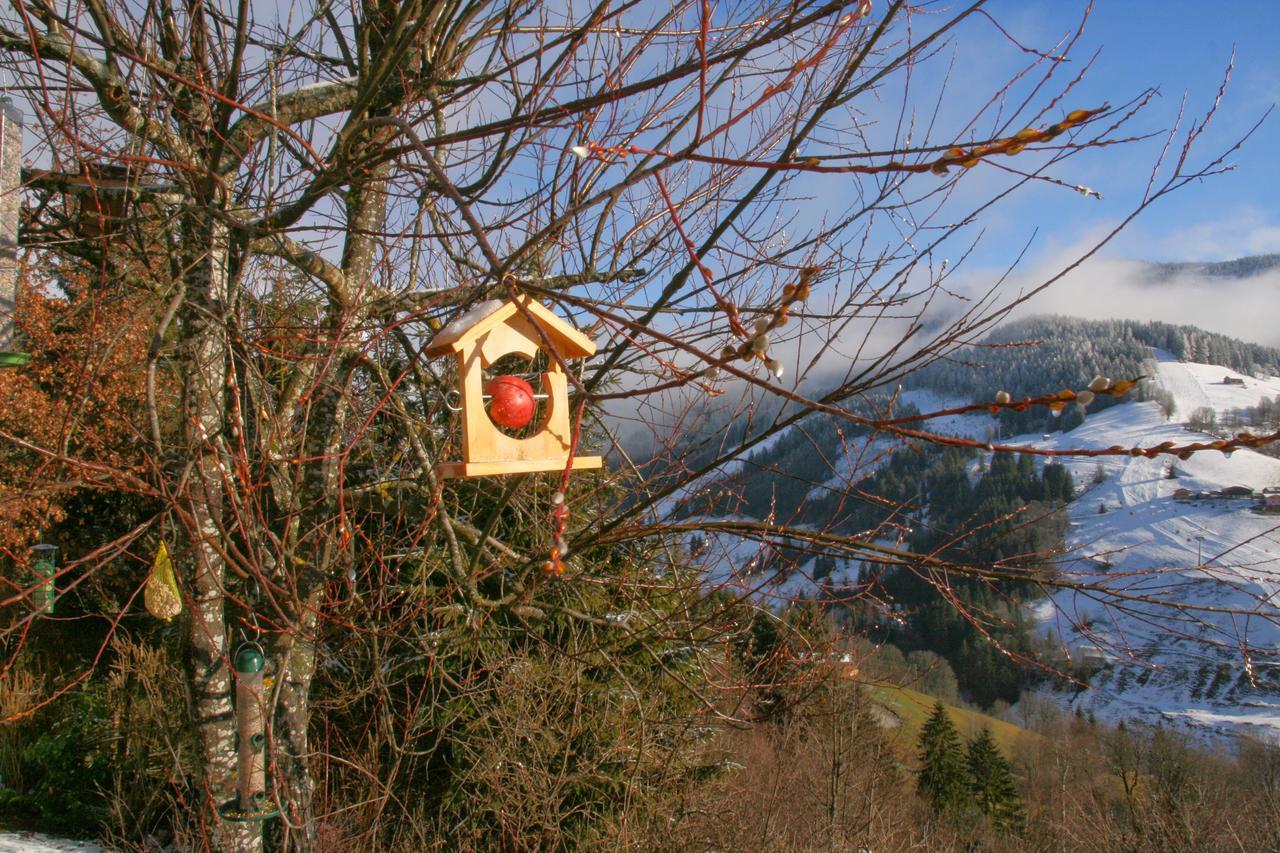 Ferienwohnung Klappacher Maria Alm am Steinernen Meer Zewnętrze zdjęcie