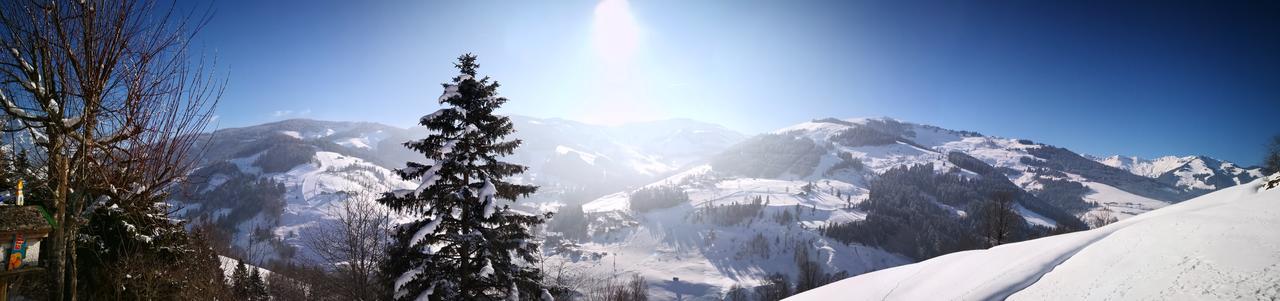 Ferienwohnung Klappacher Maria Alm am Steinernen Meer Zewnętrze zdjęcie